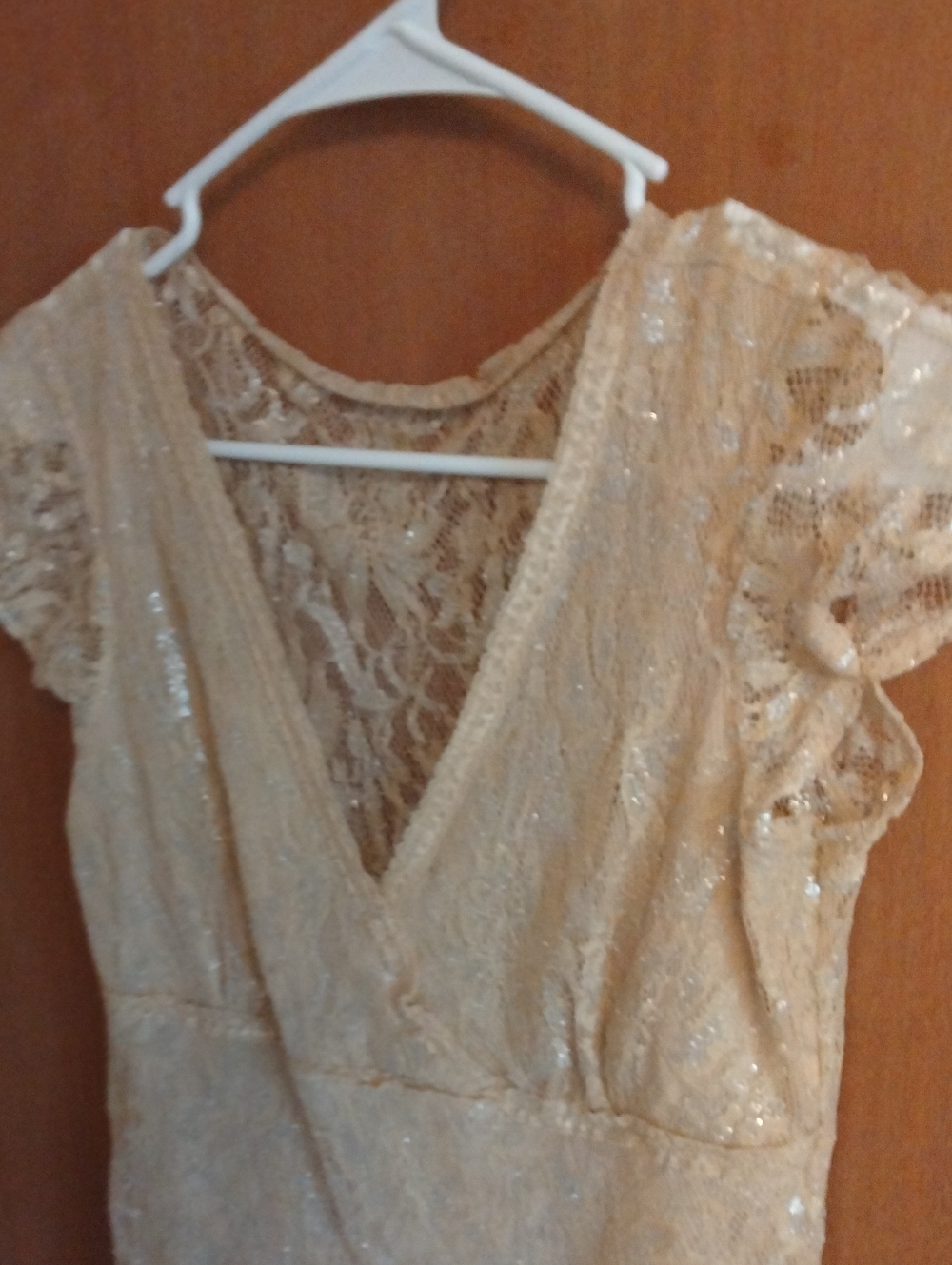 Beautiful Lace V-Neck Sparkle Top in Champagne